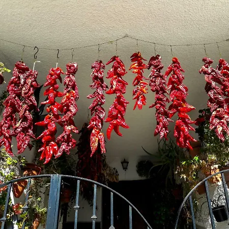 La Casa De La Bombilla בית נופש *