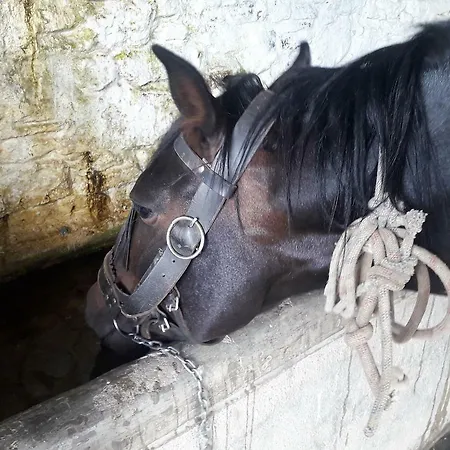 בית נופש La Casa De La Bombilla